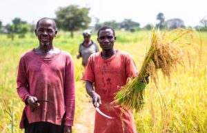 Food Action Accelerates Climate Action in Sub-saharan Africa